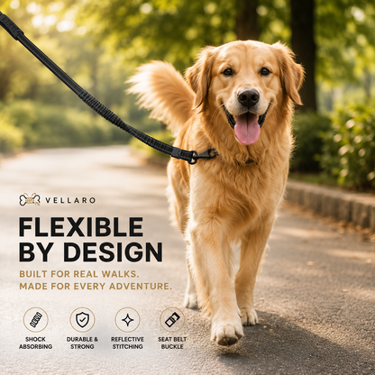 Pawflex™️